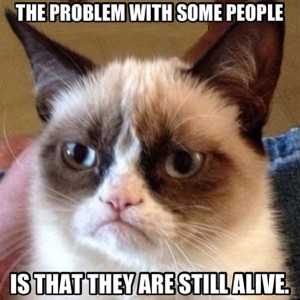 grumpy-cat-meme